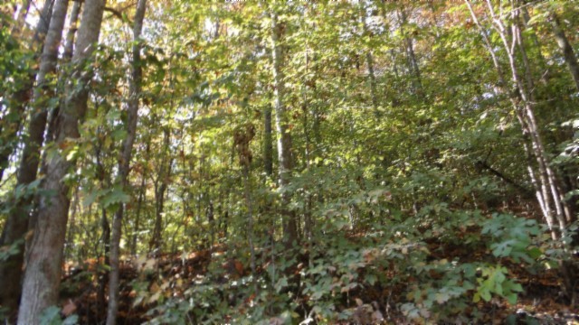 0 Moss Arcot Road Celina TN 38551