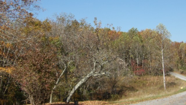 0 Moss Arcot Road Celina TN 38551
