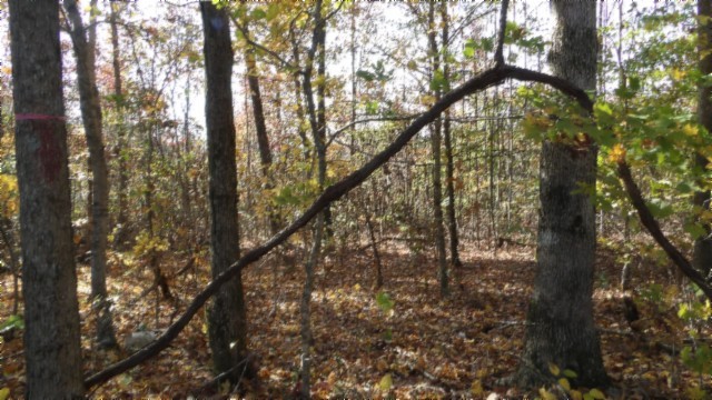0 Moss Arcot Road Celina TN 38551