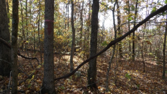 0 Moss Arcot Road Celina TN 38551
