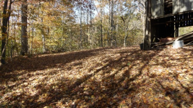 0 Moss Arcot Road Celina TN 38551