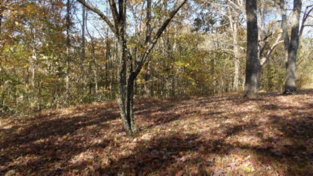 0 Moss Arcot Road Celina TN 38551