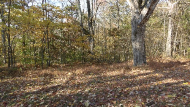 0 Moss Arcot Road Celina TN 38551