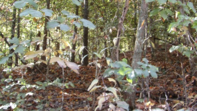 0 Moss Arcot Road Celina TN 38551