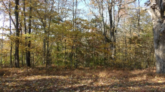 0 Moss Arcot Road Celina TN 38551