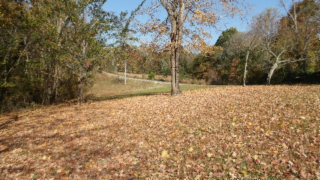 0 Moss Arcot Road Celina TN 38551