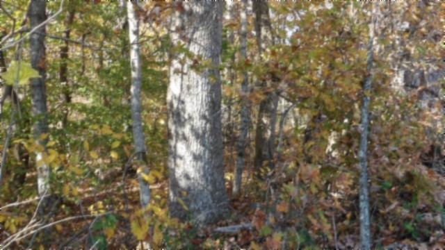 0 Moss Arcot Road Celina TN 38551