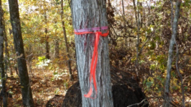 0 Moss Arcot Road Celina TN 38551
