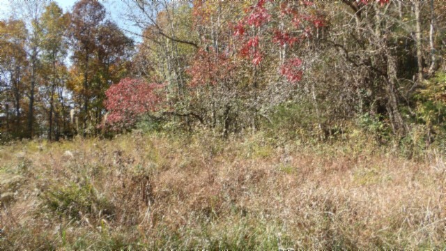 0 Moss Arcot Road Celina TN 38551