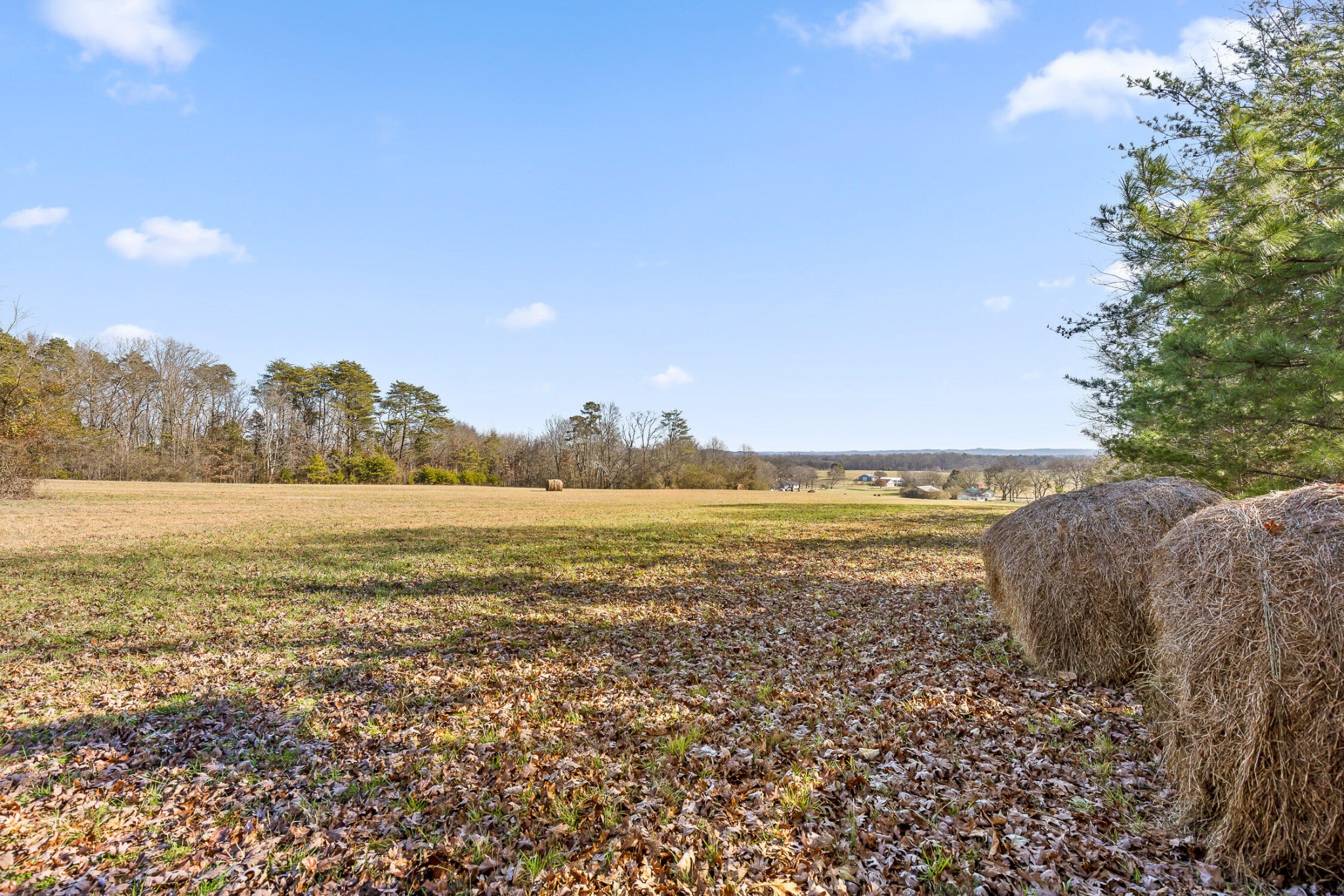 0 Blue Sky Drive Dayton TN 37321