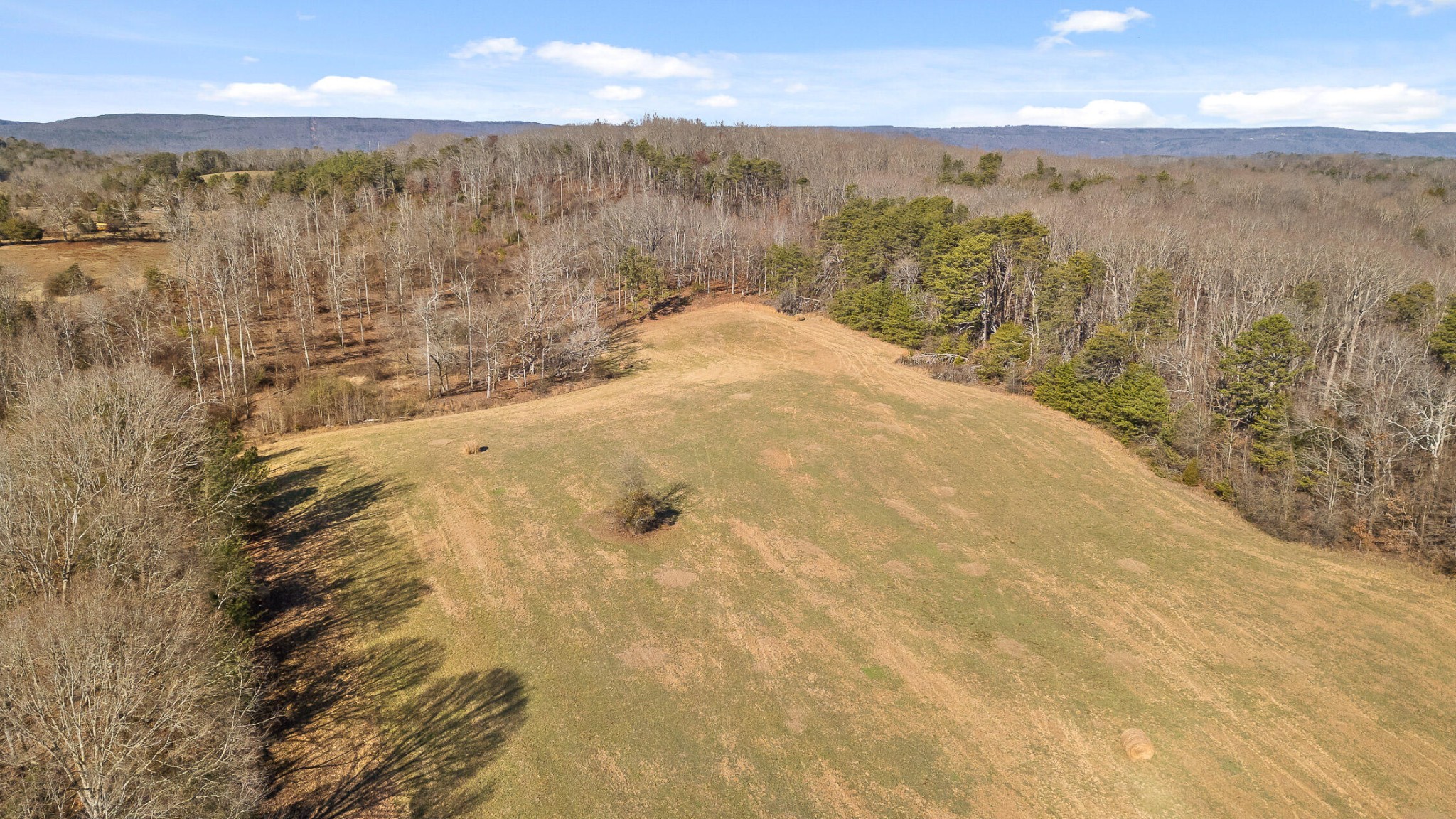 0 Blue Sky Drive Dayton TN 37321