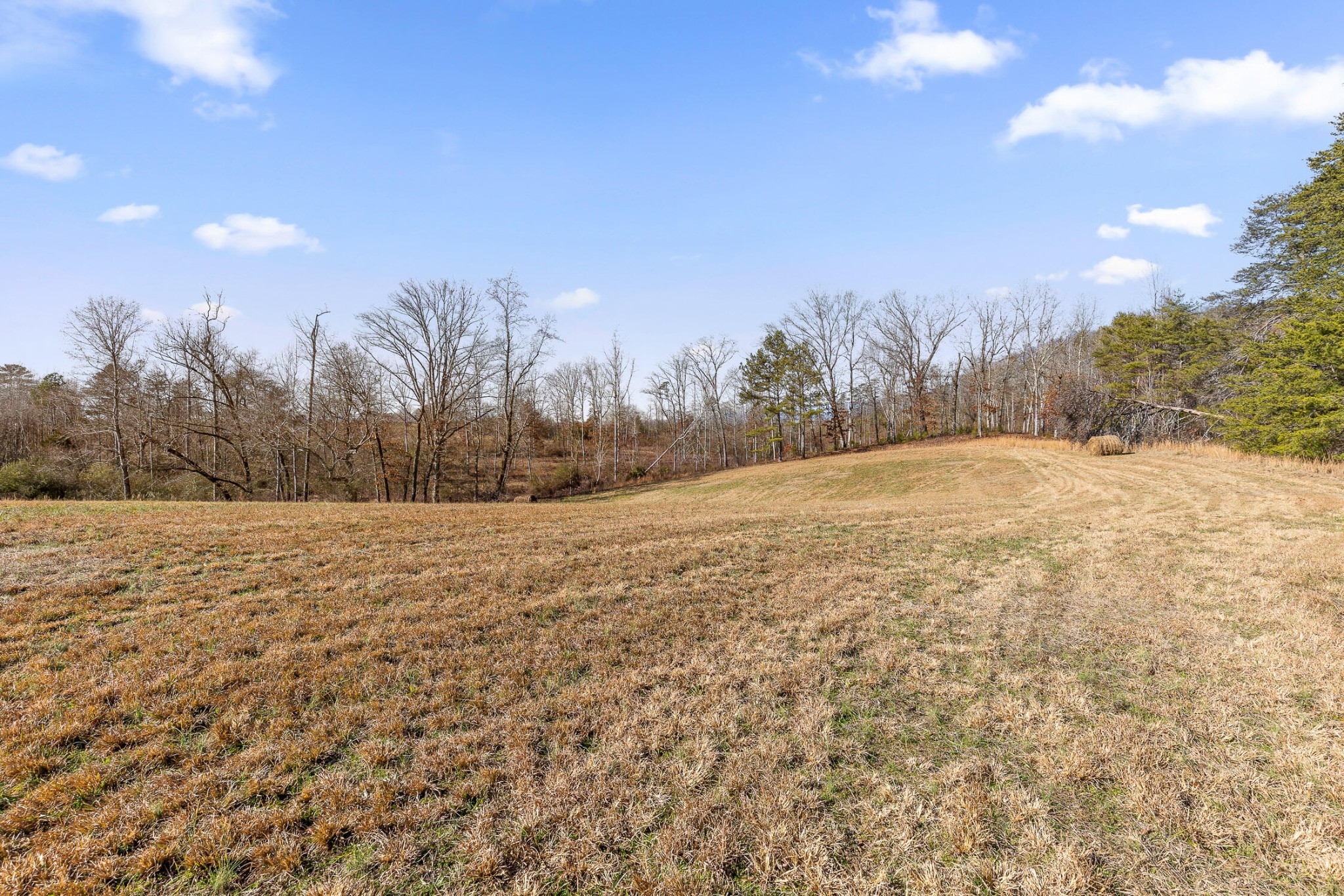 0 Blue Sky Drive Dayton TN 37321
