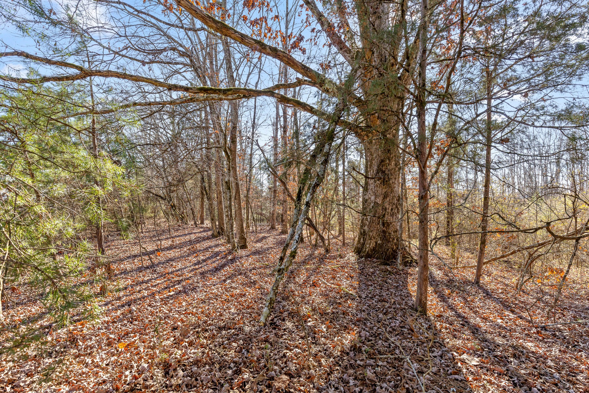 0 Blue Sky Drive Dayton TN 37321