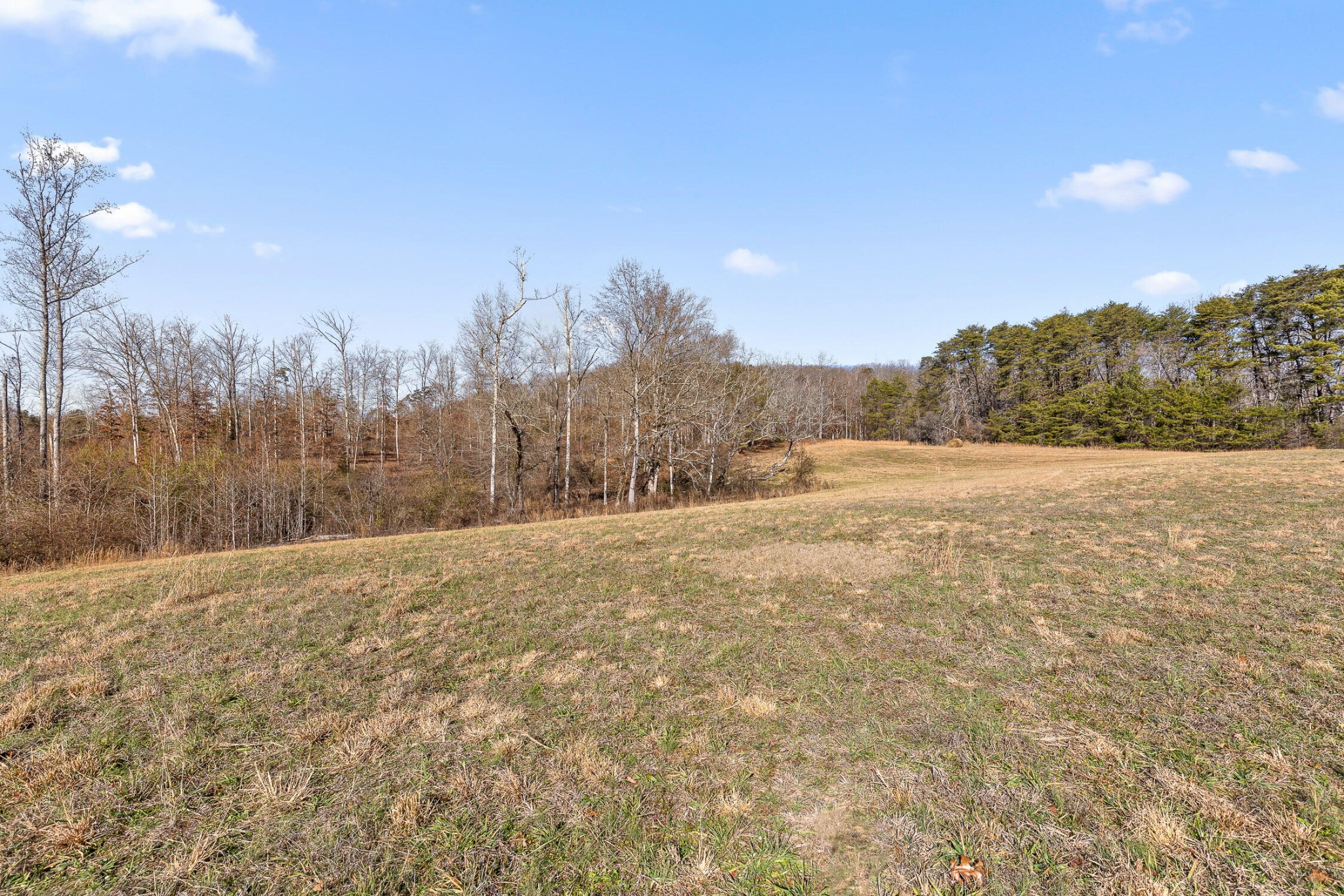 0 Blue Sky Drive Dayton TN 37321