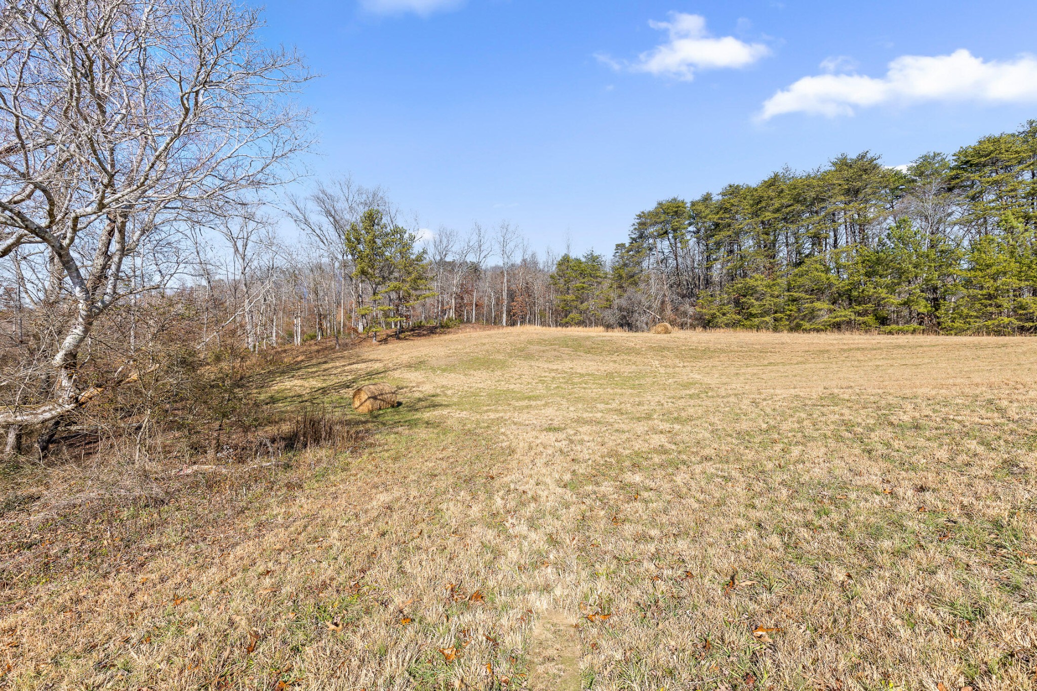 0 Blue Sky Drive Dayton TN 37321