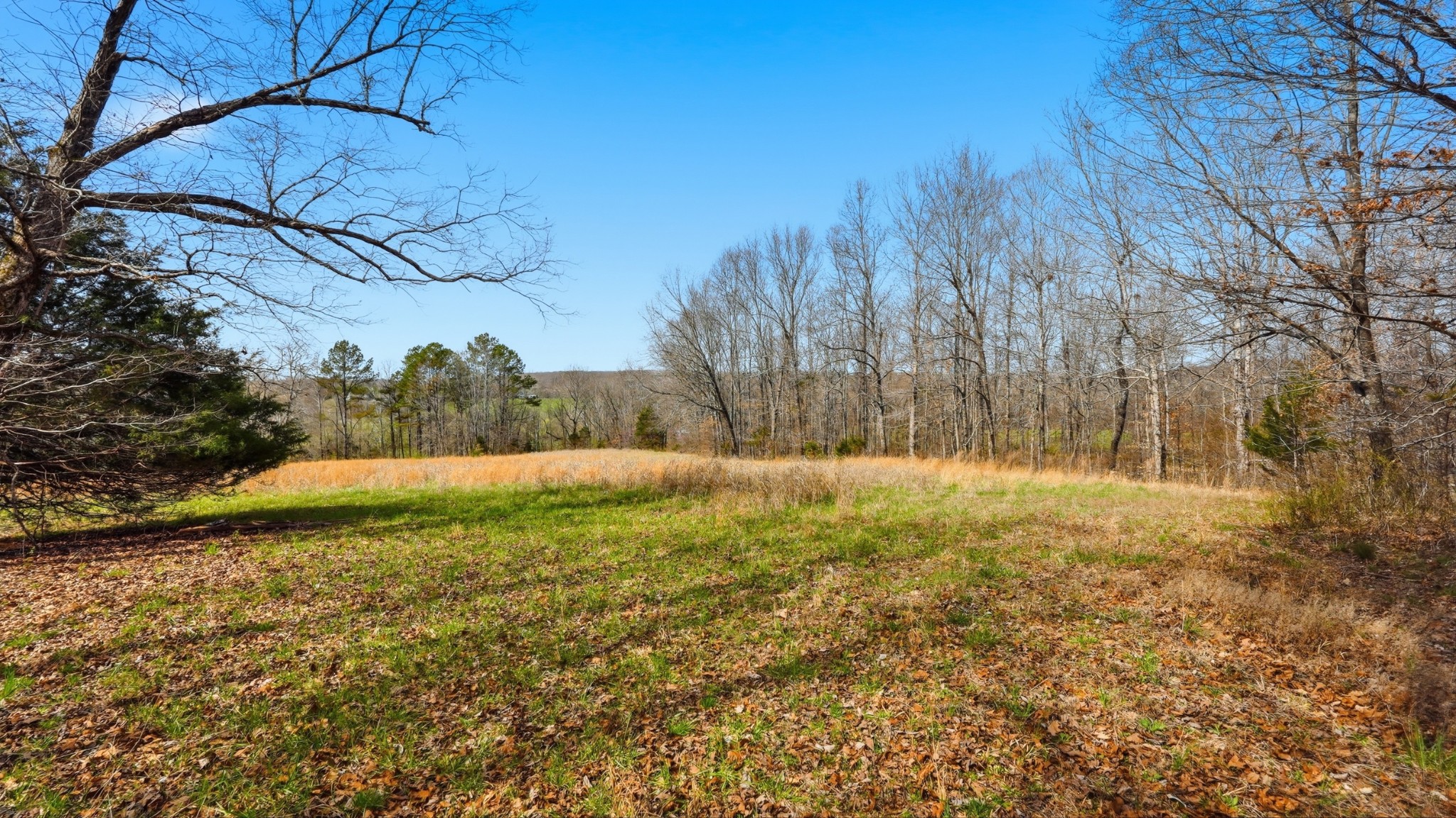 0 Herman Adams Road Cumberland City TN 37050