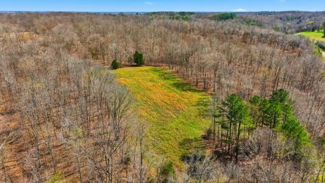0 Herman Adams Road Cumberland City TN 37050