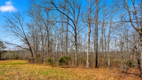 0 Herman Adams Road Cumberland City TN 37050