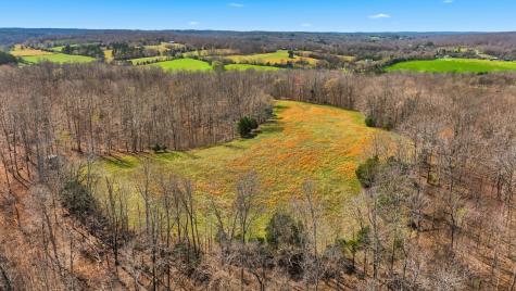 0 Herman Adams Road Cumberland City TN 37050
