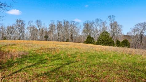 0 Herman Adams Road Cumberland City TN 37050