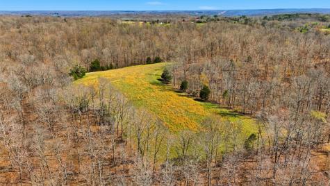 0 Herman Adams Road Cumberland City TN 37050