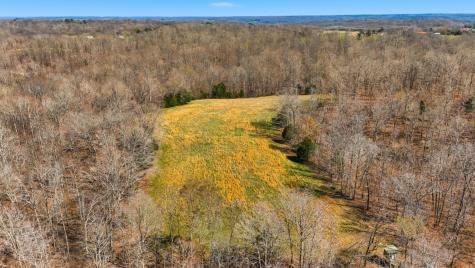 0 Herman Adams Road Cumberland City TN 37050