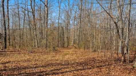 0 Herman Adams Road Cumberland City TN 37050