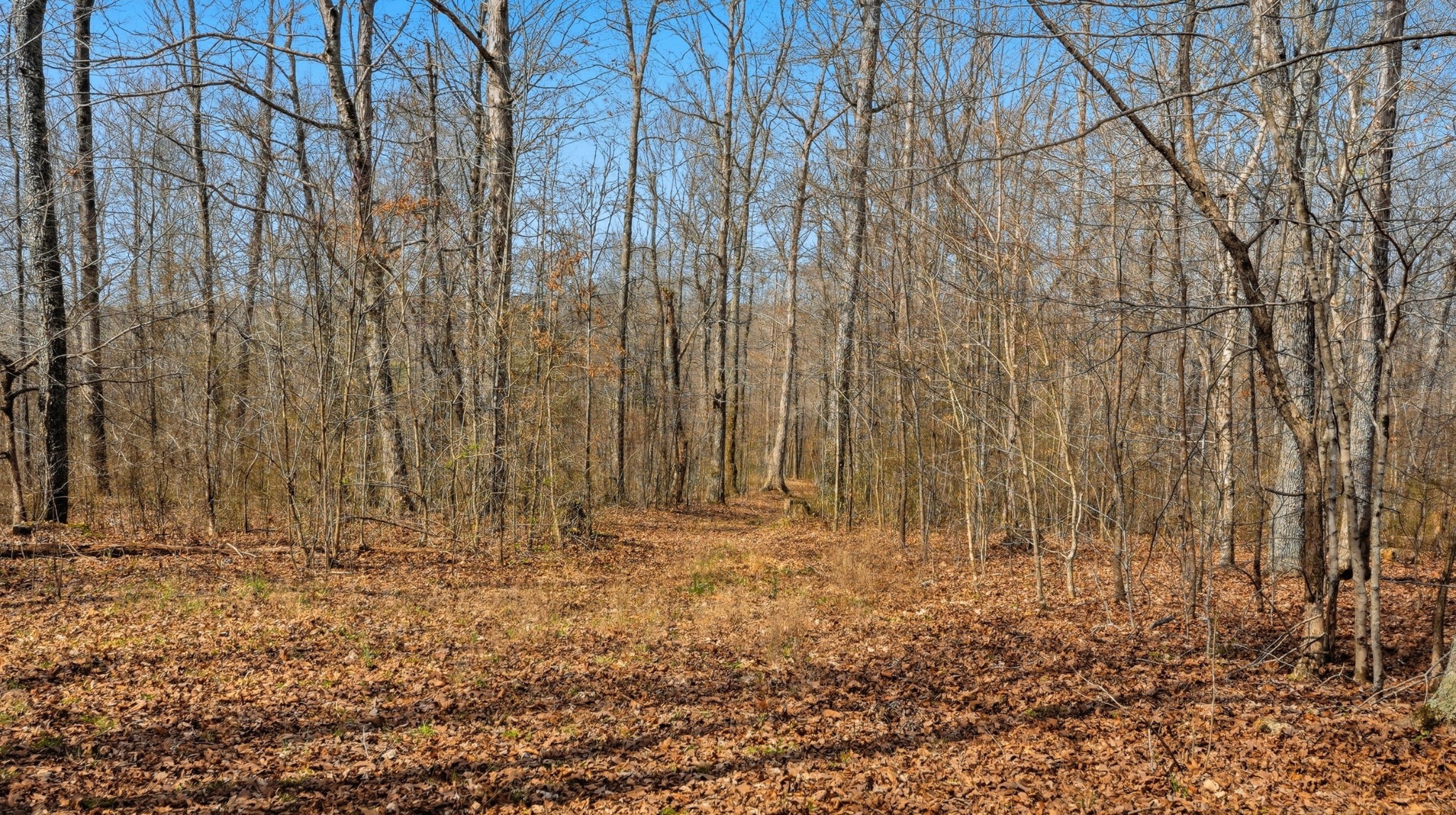 0 Herman Adams Road Cumberland City TN 37050