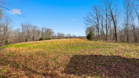 0 Herman Adams Road Cumberland City TN 37050