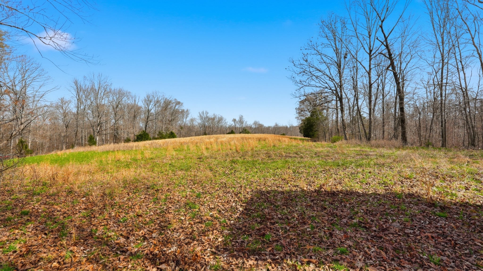 0 Herman Adams Road Cumberland City TN 37050