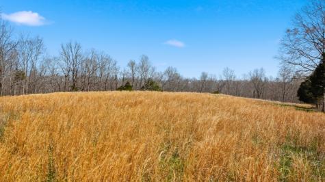 0 Herman Adams Road Cumberland City TN 37050