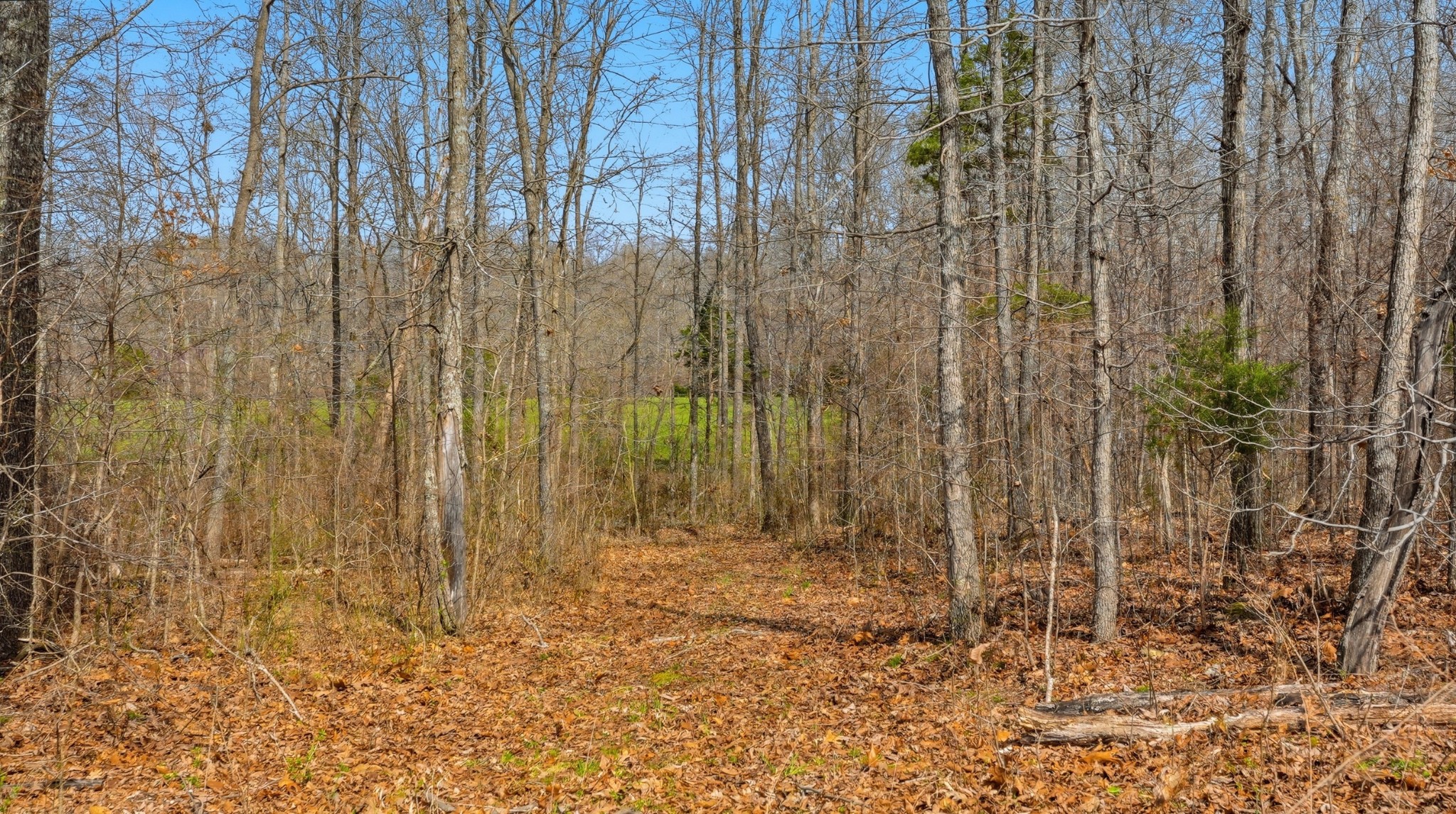 0 Herman Adams Road Cumberland City TN 37050