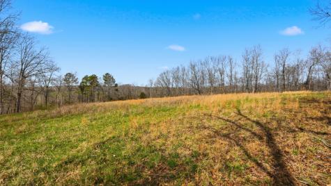 0 Herman Adams Road Cumberland City TN 37050