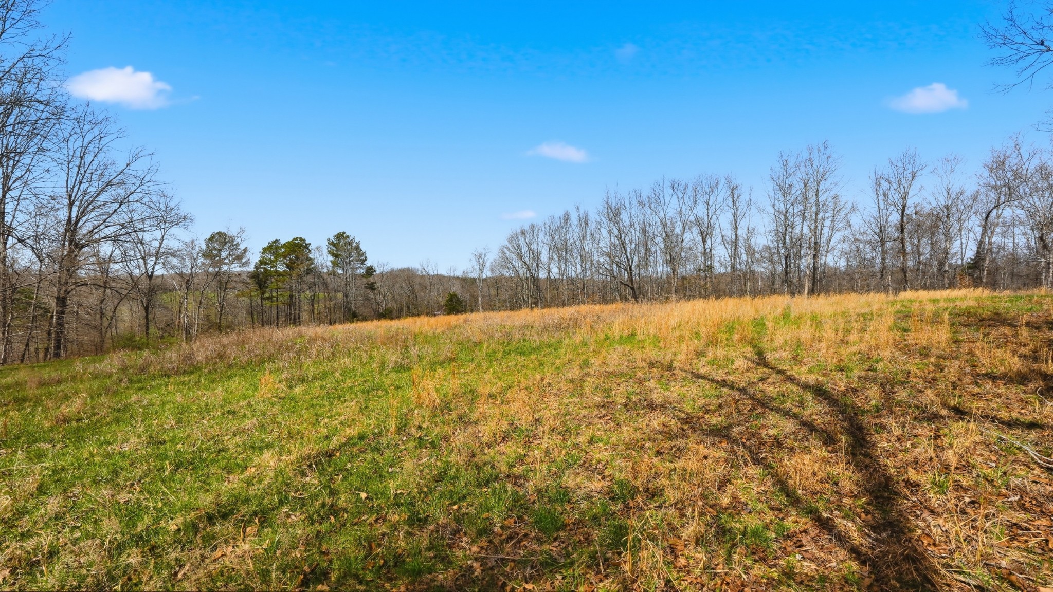 0 Herman Adams Road Cumberland City TN 37050