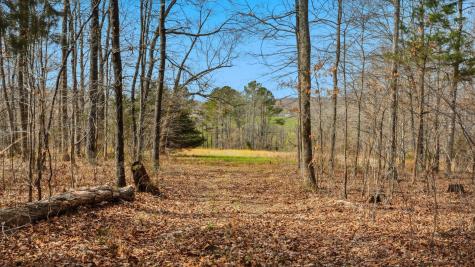 0 Herman Adams Road Cumberland City TN 37050