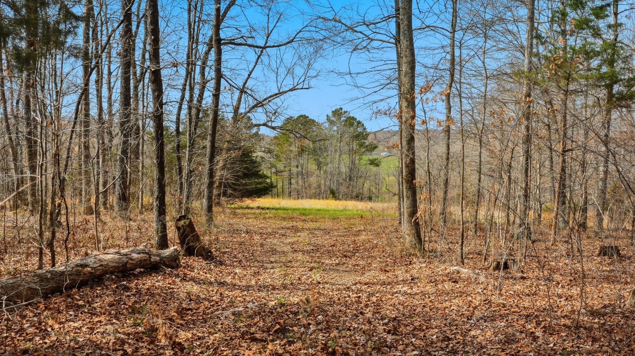 0 Herman Adams Road Cumberland City TN 37050