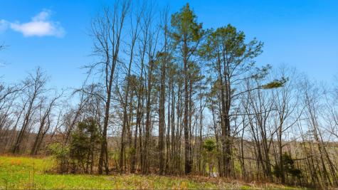 0 Herman Adams Road Cumberland City TN 37050
