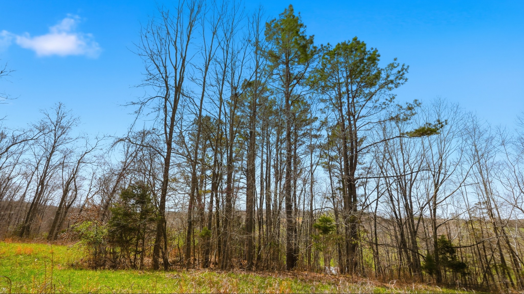 0 Herman Adams Road Cumberland City TN 37050