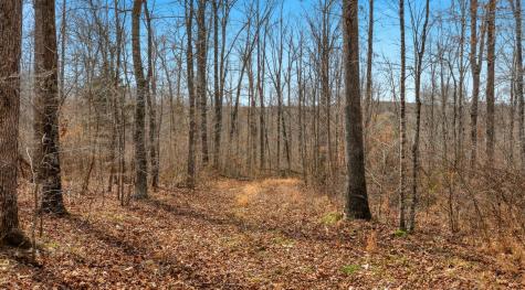 0 Herman Adams Road Cumberland City TN 37050