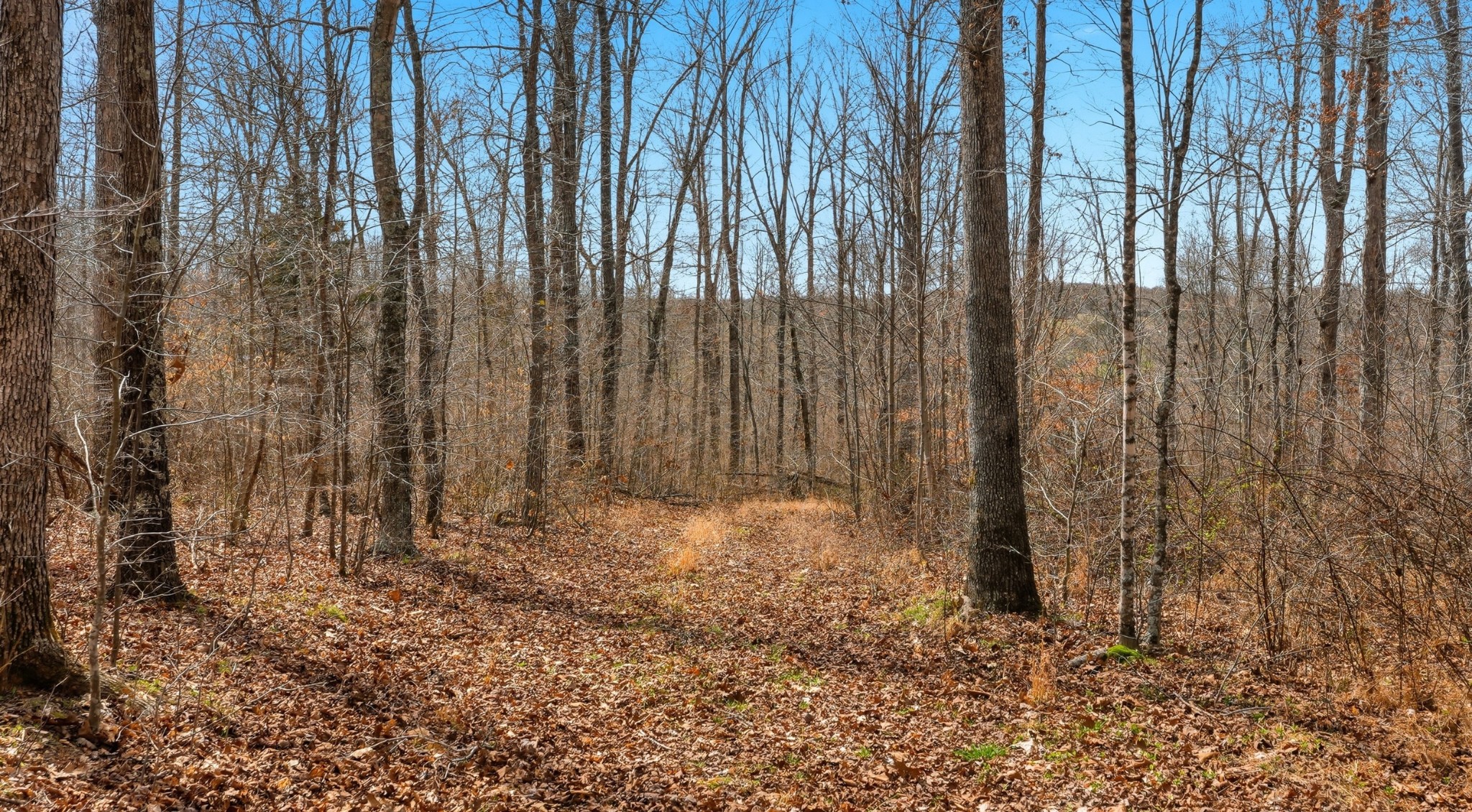 0 Herman Adams Road Cumberland City TN 37050