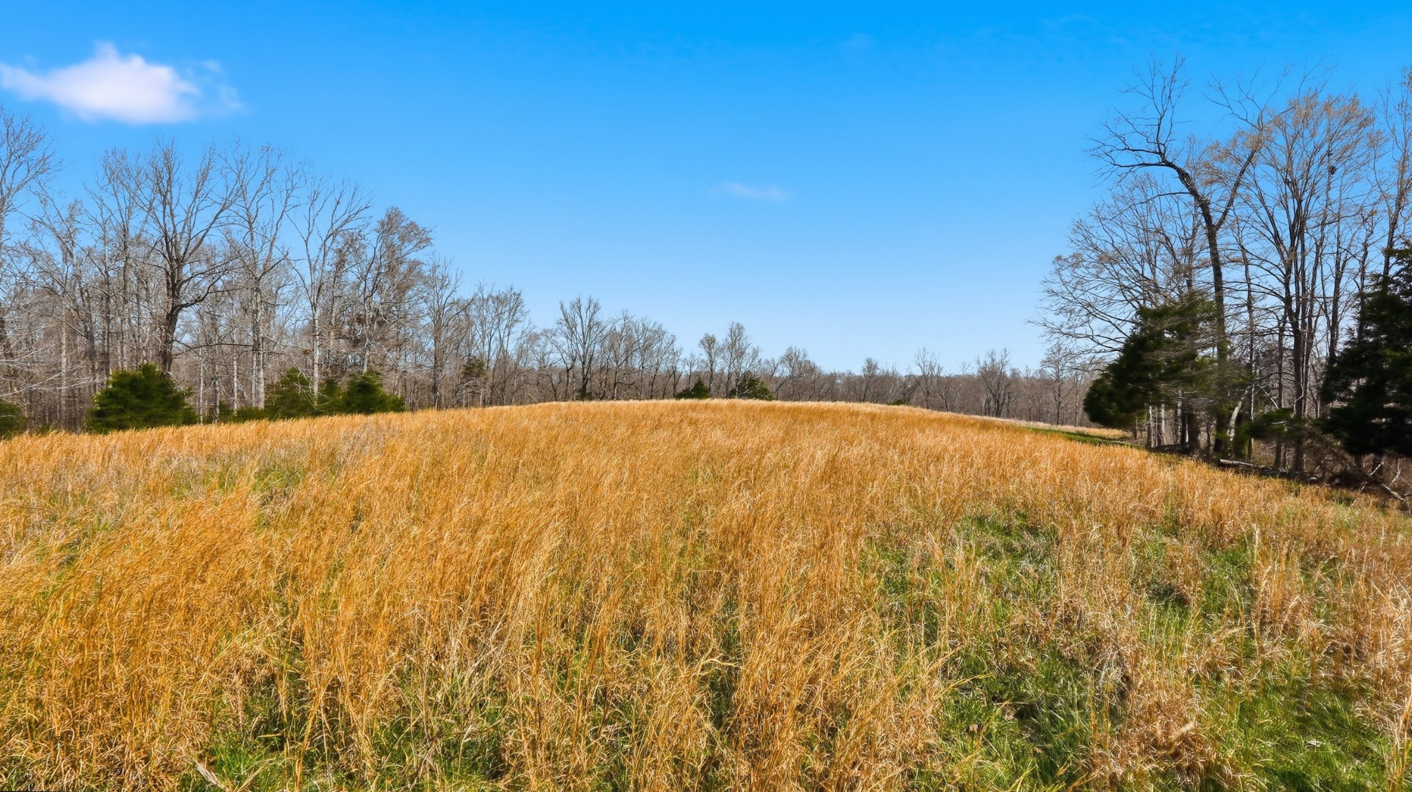 0 Herman Adams Road Cumberland City TN 37050
