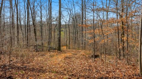 0 Herman Adams Road Cumberland City TN 37050