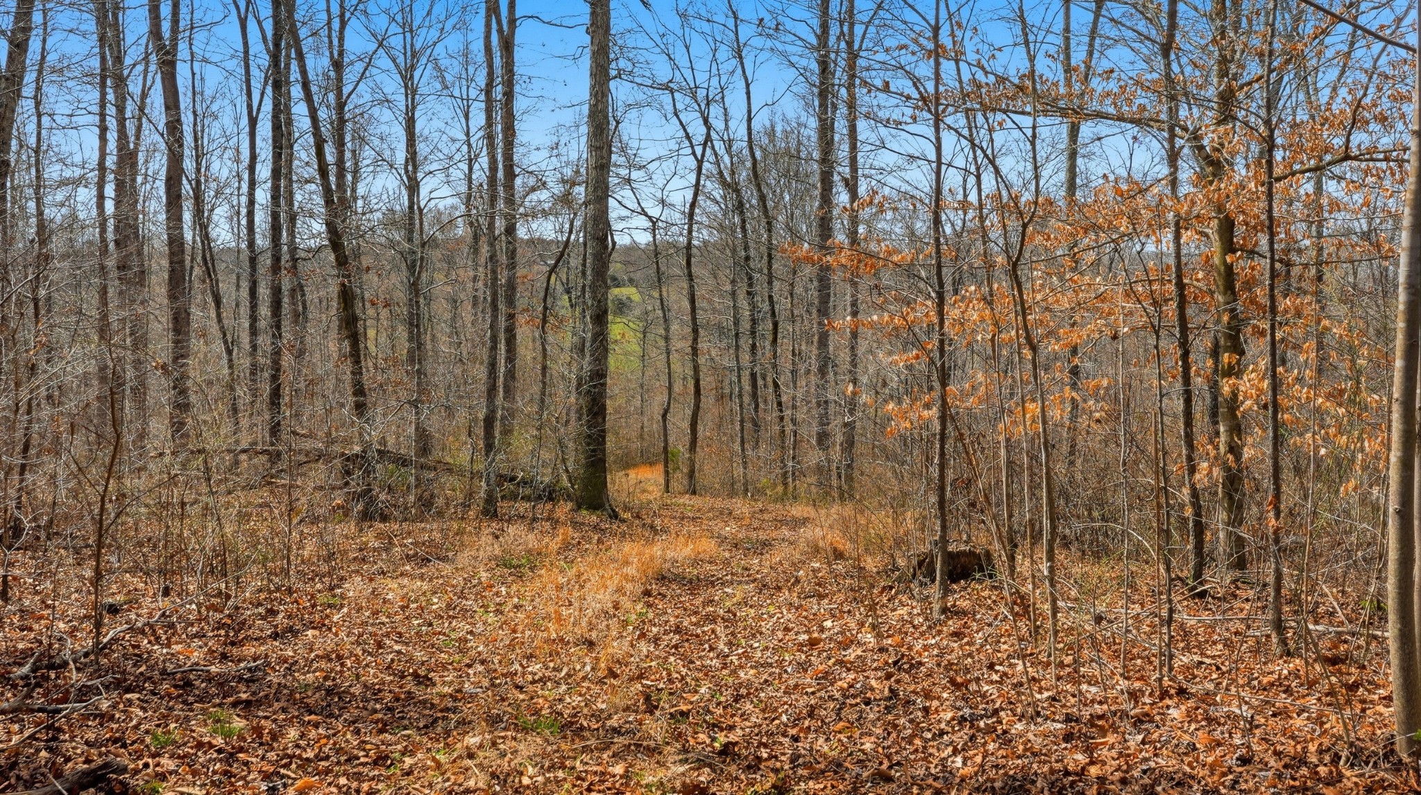 0 Herman Adams Road Cumberland City TN 37050