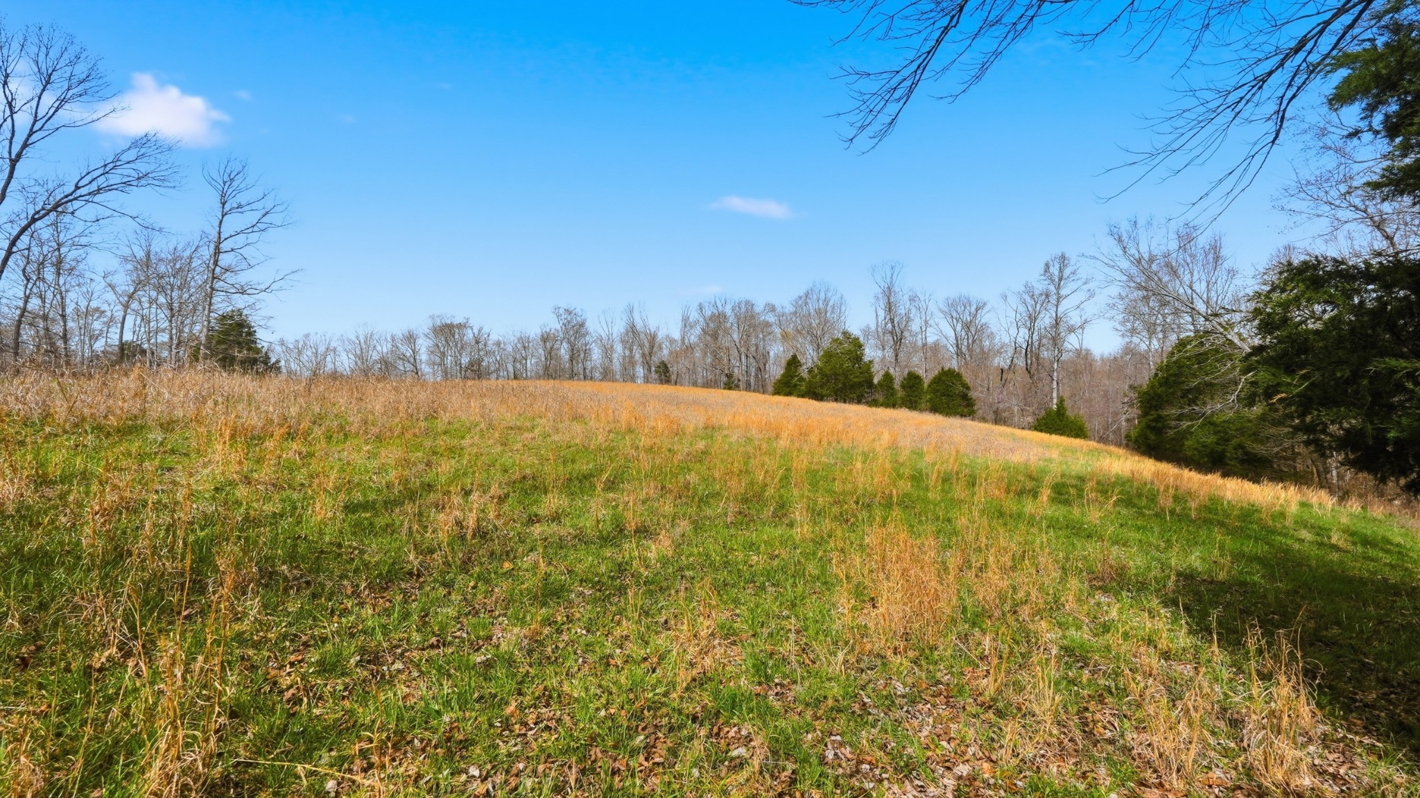 0 Herman Adams Road Cumberland City TN 37050