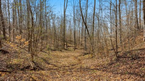 0 Herman Adams Road Cumberland City TN 37050