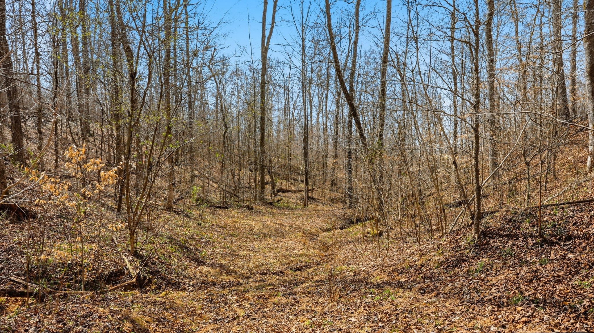 0 Herman Adams Road Cumberland City TN 37050