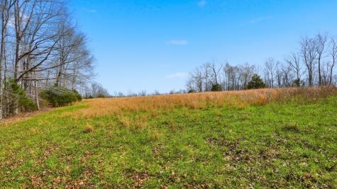 0 Herman Adams Road Cumberland City TN 37050
