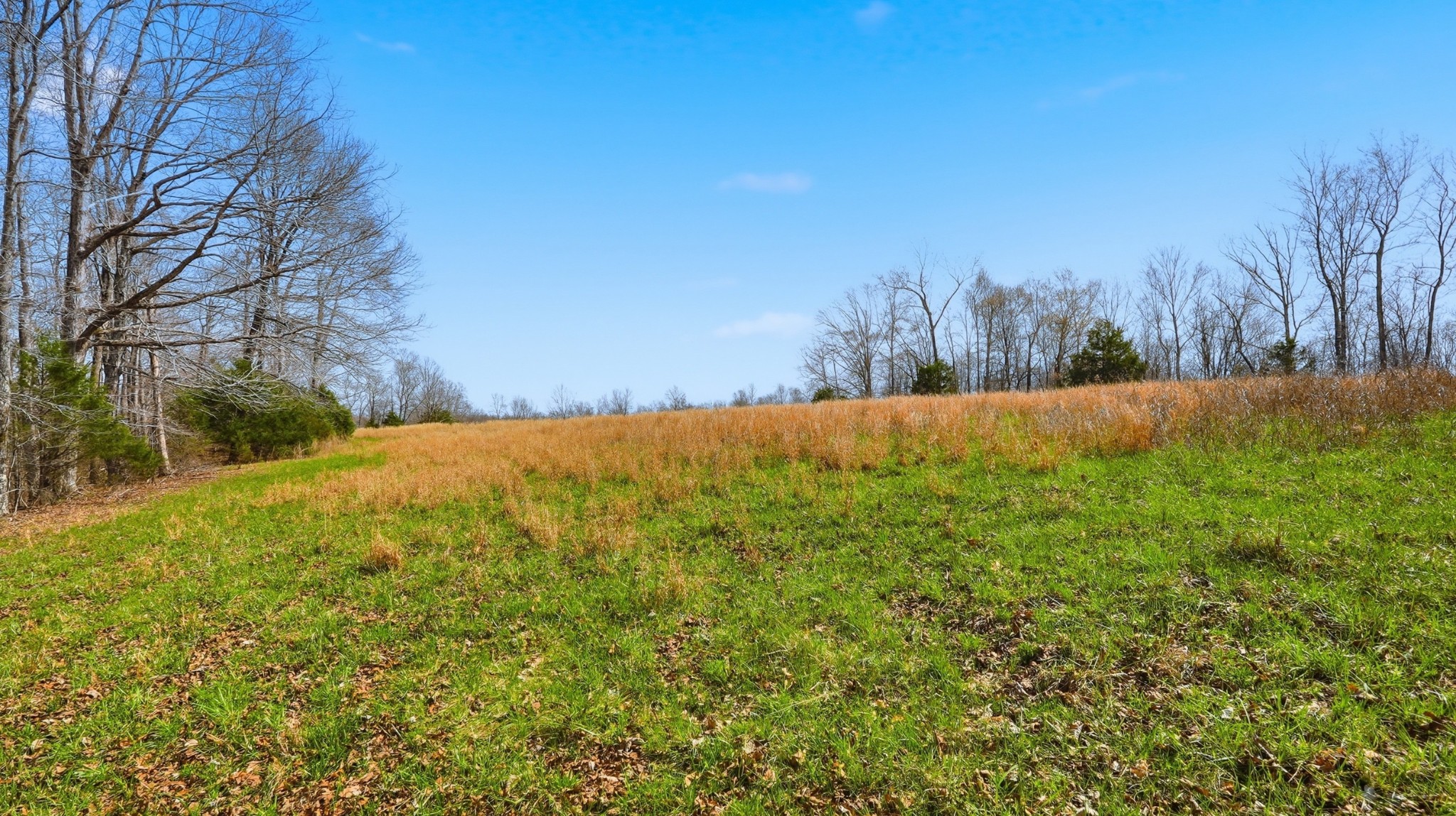 0 Herman Adams Road Cumberland City TN 37050
