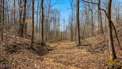 0 Herman Adams Road Cumberland City TN 37050