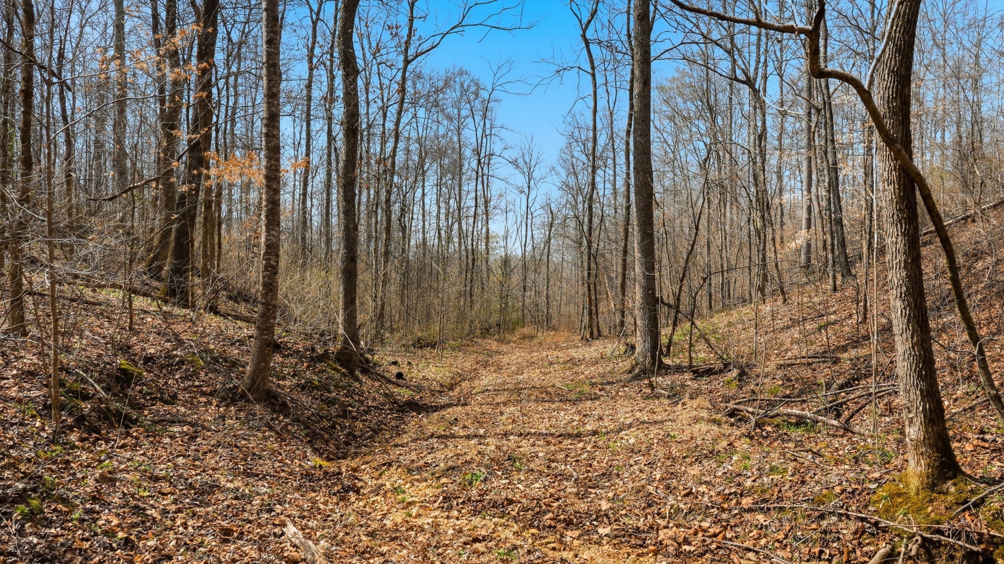 0 Herman Adams Road Cumberland City TN 37050